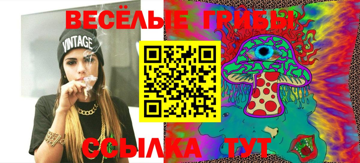 Галлюциногенные грибы ЛСД Городец